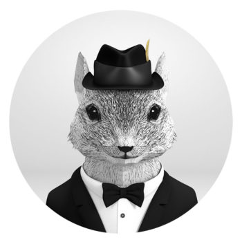 Squirrel_circle_v01